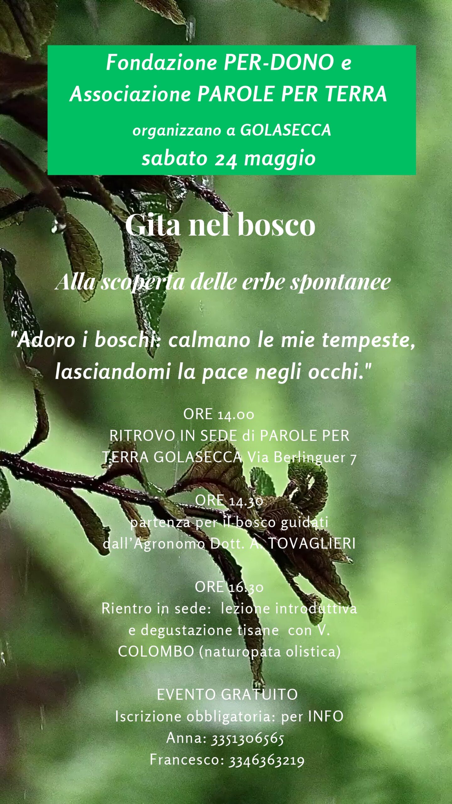 Gita nel Bosco: alla scoperta delle erbe spontanee 🌿