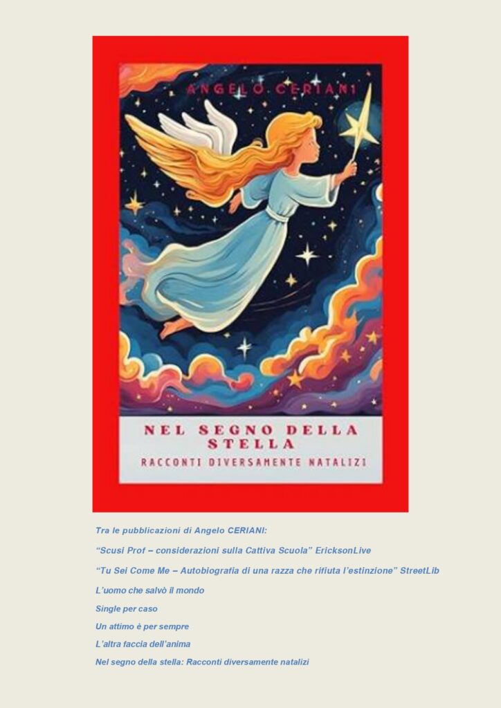 Copertina del libro Nel segno della stella letture diversamente natalizie